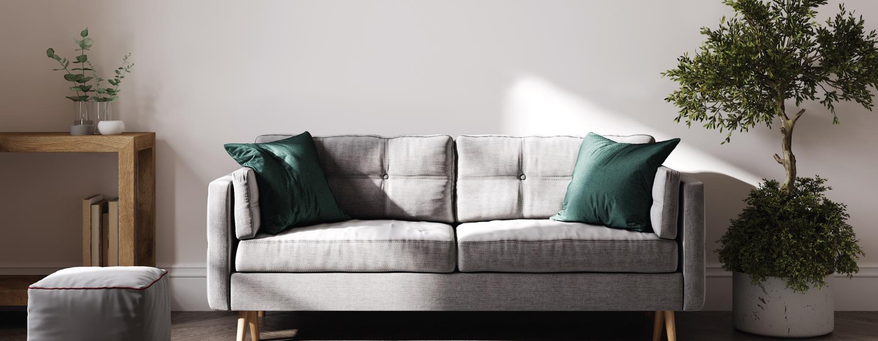 a couch with pillows and a plant