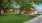 a building with a lawn and trees